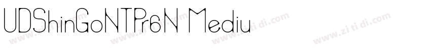 UDShinGoNTPr6N Mediu字体转换